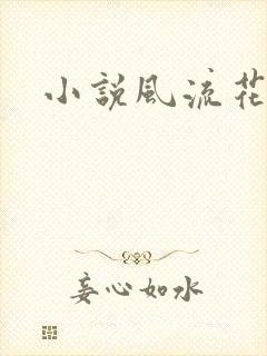 小说风流花少