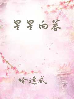 星星向蓉