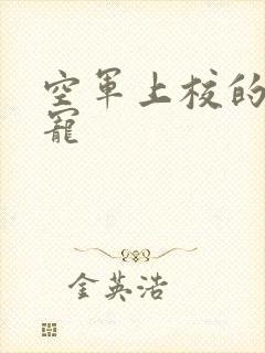 空军上校的邪魅宠