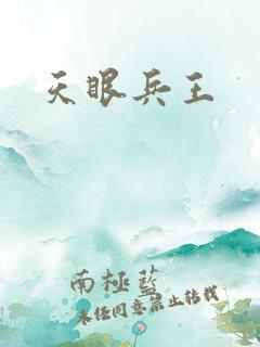 天眼兵王