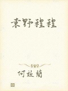 袁野程程