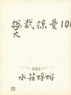 总裁掠爱100天