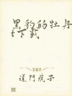 黑豹的牡丹txt下载