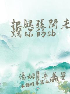 把腿张开老子臊烂你的sb