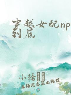 穿越女配np湿到底