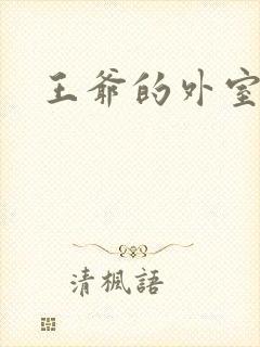 王爷的外室