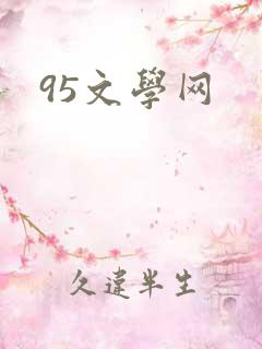 95文学网