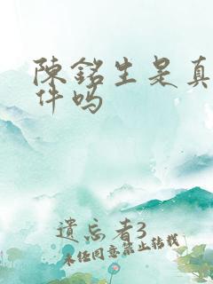 陈铭生是真实事件吗