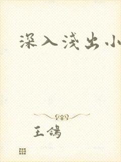 深入浅出小说