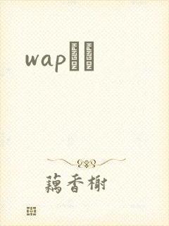 wapС˵