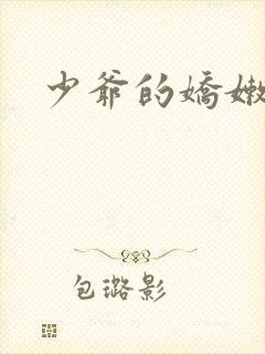 少爷的娇嫩女仆