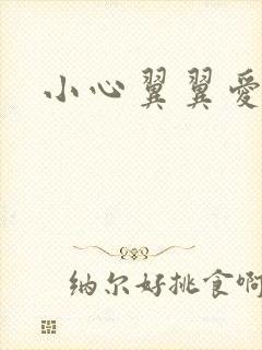 小心翼翼爱上你