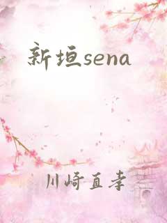 新垣sena