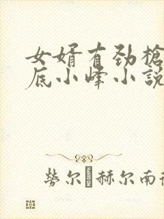 女婿有劲枪枪到底小峰小说