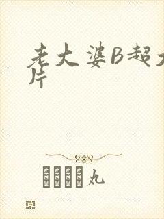 老大婆B超大图片