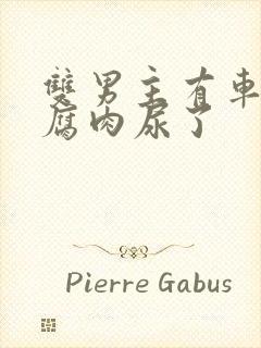 双男主有车车的腐肉尿了