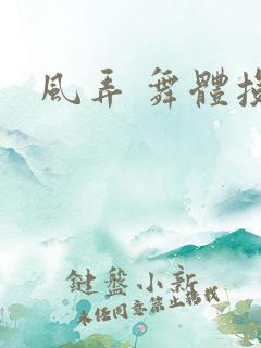 风弄 舞体投递