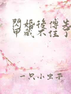 闪婚后傅先生马甲藏不住了免费阅读