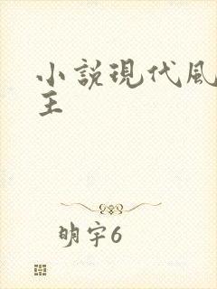 小说现代风流霸主