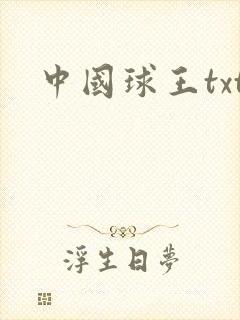 中国球王txt