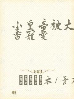 小皇帝被大臣轮番宠爱