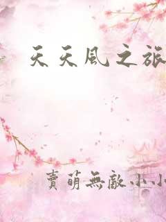 天天风之旅辅助