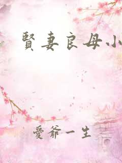贤妻良母小说