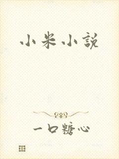 小米小说