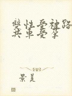 双性受被路人公共车受孕