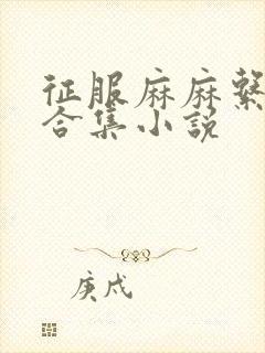 征服麻麻系列大合集小说