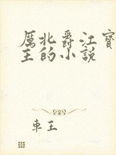 厉北爵江宝宝男主的小说