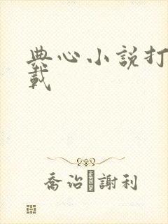 典心小说打包下载