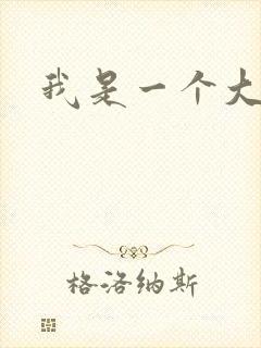 我是一个大盗贼