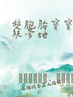 双胞胎宝宝的总统爹地