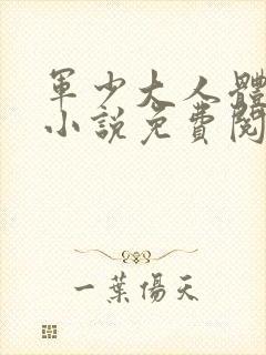 军少大人体力好小说免费阅读