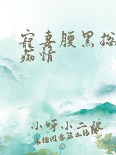 宠妻腹黑总裁太痴情