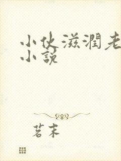 小伙滋润老女人小说