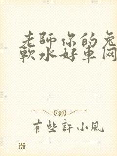 老师你的兔子好软水好车网站
