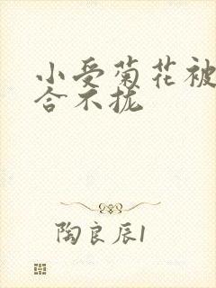 小受菊花被双龙合不拢