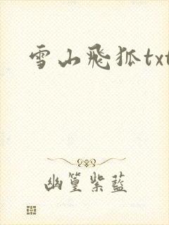雪山飞狐txt