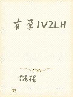 有孕1V2LH
