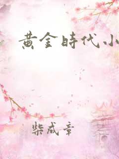 黄金时代小说