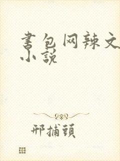 书包网辣文全本小说