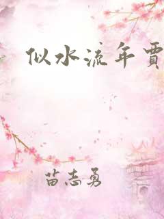 似水流年贾二虎