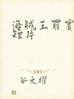 海贼王罗宾被h短片