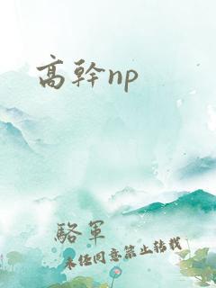 高干np