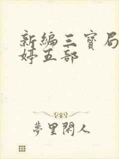 新编三宝局长许婷五部