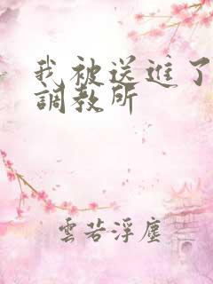 我被送进了私奴调教所