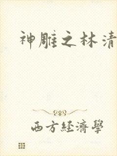 神雕之林清传