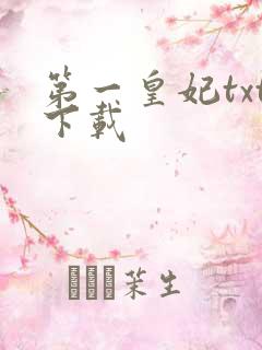 第一皇妃txt下载